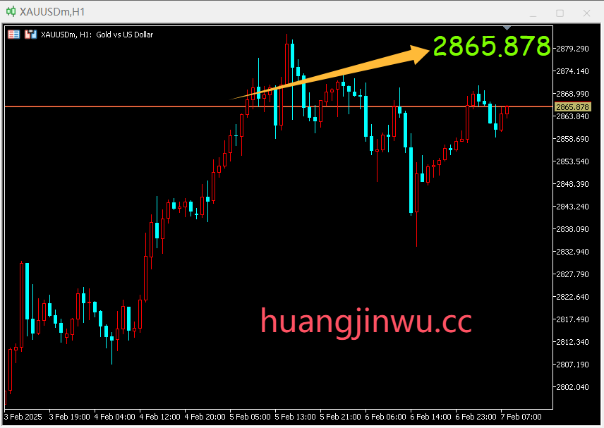 电脑版MT4,MT5 K线价格放大显示指标